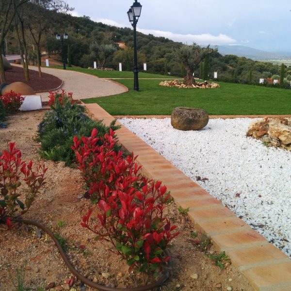 Jardines | Ajardinar | Poda | Jardineria | Diseño jardín | Desbrozar | Sistema Riego | Césped | Césped artificial | Mantenimiento jardín | Tala | Construcción jardines | Palmeras | Setos | Jardín ecológico | Jardín sostenible | Jardín vertical | Toledo | Madrid | Ciudad Real