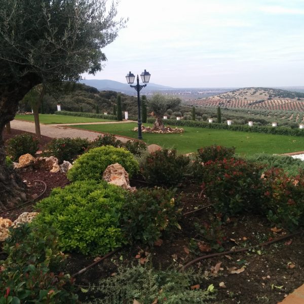 Jardines | Ajardinar | Poda | Jardineria | Diseño jardín | Desbrozar | Sistema Riego | Césped | Césped artificial | Mantenimiento jardín | Tala | Construcción jardines | Palmeras | Setos | Jardín ecológico | Jardín sostenible | Jardín vertical | Toledo | Madrid | Ciudad Real