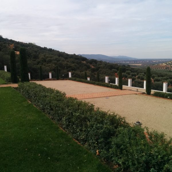 Jardines | Ajardinar | Poda | Jardineria | Diseño jardín | Desbrozar | Sistema Riego | Césped | Césped artificial | Mantenimiento jardín | Tala | Construcción jardines | Palmeras | Setos | Jardín ecológico | Jardín sostenible | Jardín vertical | Toledo | Madrid | Ciudad Real