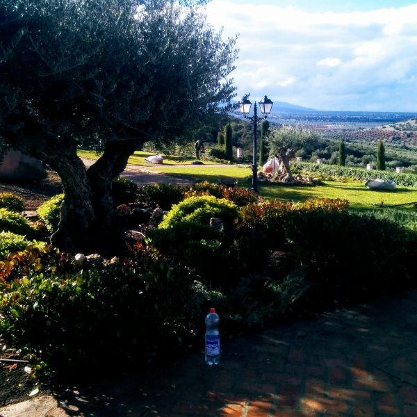 Jardines | Ajardinar | Poda | Jardineria | Diseño jardín | Desbrozar | Sistema Riego | Césped | Césped artificial | Mantenimiento jardín | Tala | Construcción jardines | Palmeras | Setos | Jardín ecológico | Jardín sostenible | Jardín vertical | Toledo | Madrid | Ciudad Real