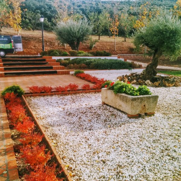 Jardines | Ajardinar | Poda | Jardineria | Diseño jardín | Desbrozar | Sistema Riego | Césped | Césped artificial | Mantenimiento jardín | Tala | Construcción jardines | Palmeras | Setos | Jardín ecológico | Jardín sostenible | Jardín vertical | Toledo | Madrid | Ciudad Real