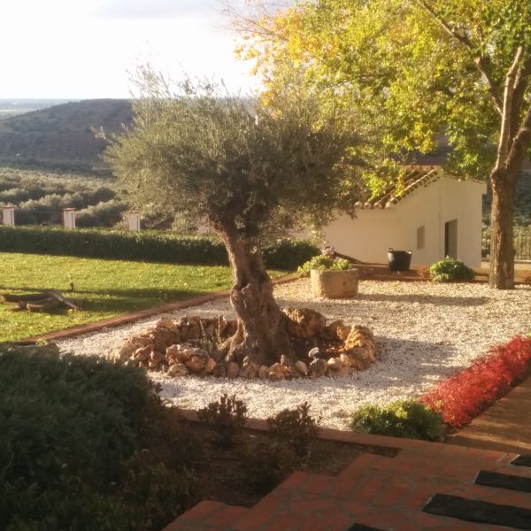 Jardines | Ajardinar | Poda | Jardineria | Diseño jardín | Desbrozar | Sistema Riego | Césped | Césped artificial | Mantenimiento jardín | Tala | Construcción jardines | Palmeras | Setos | Jardín ecológico | Jardín sostenible | Jardín vertical | Toledo | Madrid | Ciudad Real