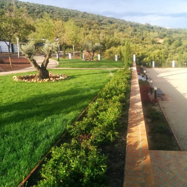 Jardines | Ajardinar | Poda | Jardineria | Diseño jardín | Desbrozar | Sistema Riego | Césped | Césped artificial | Mantenimiento jardín | Tala | Construcción jardines | Palmeras | Setos | Jardín ecológico | Jardín sostenible | Jardín vertical | Toledo | Madrid | Ciudad Real