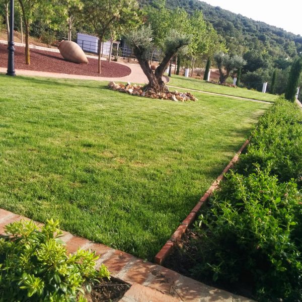 Jardines | Ajardinar | Poda | Jardineria | Diseño jardín | Desbrozar | Sistema Riego | Césped | Césped artificial | Mantenimiento jardín | Tala | Construcción jardines | Palmeras | Setos | Jardín ecológico | Jardín sostenible | Jardín vertical | Toledo | Madrid | Ciudad Real