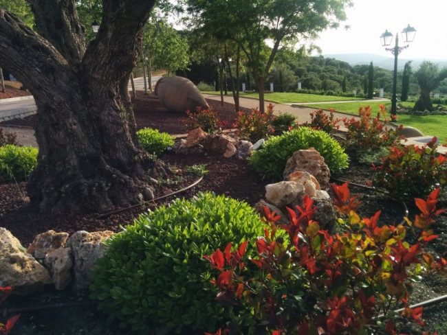 Jardines | Ajardinar | Poda | Jardineria | Diseño jardín | Desbrozar | Sistema Riego | Césped | Césped artificial | Mantenimiento jardín | Tala | Construcción jardines | Palmeras | Setos | Jardín ecológico | Jardín sostenible | Jardín vertical | Toledo | Madrid | Ciudad Real