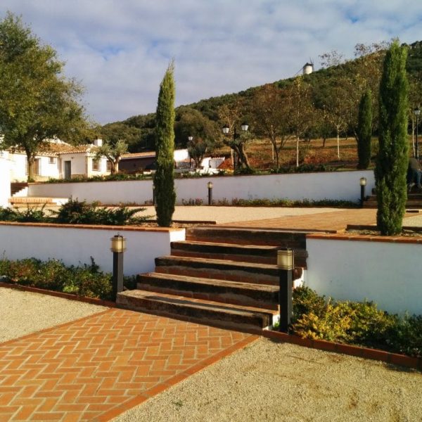 Jardines | Ajardinar | Poda | Jardineria | Diseño jardín | Desbrozar | Sistema Riego | Césped | Césped artificial | Mantenimiento jardín | Tala | Construcción jardines | Palmeras | Setos | Jardín ecológico | Jardín sostenible | Jardín vertical | Toledo | Madrid | Ciudad Real