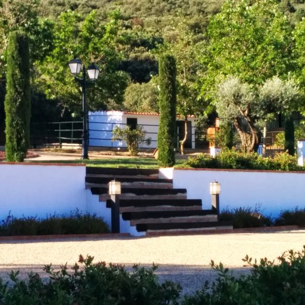 Jardines | Ajardinar | Poda | Jardineria | Diseño jardín | Desbrozar | Sistema Riego | Césped | Césped artificial | Mantenimiento jardín | Tala | Construcción jardines | Palmeras | Setos | Jardín ecológico | Jardín sostenible | Jardín vertical | Toledo | Madrid | Ciudad Real