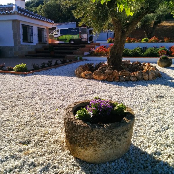 Jardines | Ajardinar | Poda | Jardineria | Diseño jardín | Desbrozar | Sistema Riego | Césped | Césped artificial | Mantenimiento jardín | Tala | Construcción jardines | Palmeras | Setos | Jardín ecológico | Jardín sostenible | Jardín vertical | Toledo | Madrid | Ciudad Real