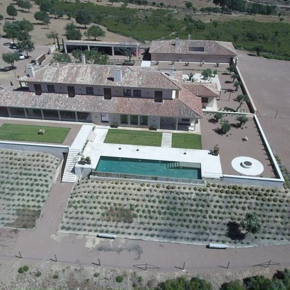 Jardines | Ajardinar | Poda | Jardineria | Diseño jardín | Desbrozar | Sistema Riego | Césped | Césped artificial | Mantenimiento jardín | Tala | Construcción jardines | Palmeras | Setos | Jardín ecológico | Jardín sostenible | Jardín vertical | Toledo | Madrid | Ciudad Real