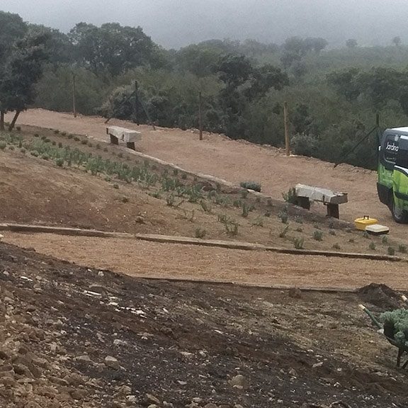Jardines | Ajardinar | Poda | Jardineria | Diseño jardín | Desbrozar | Sistema Riego | Césped | Césped artificial | Mantenimiento jardín | Tala | Construcción jardines | Palmeras | Setos | Jardín ecológico | Jardín sostenible | Jardín vertical | Toledo | Madrid | Ciudad Real