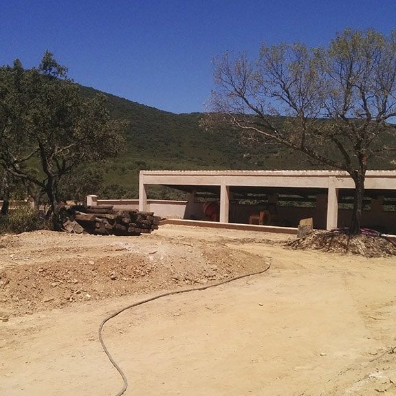 Jardines | Ajardinar | Poda | Jardineria | Diseño jardín | Desbrozar | Sistema Riego | Césped | Césped artificial | Mantenimiento jardín | Tala | Construcción jardines | Palmeras | Setos | Jardín ecológico | Jardín sostenible | Jardín vertical | Toledo | Madrid | Ciudad Real