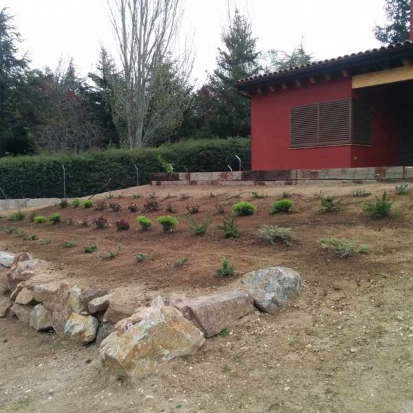 Jardines | Ajardinar | Poda | Jardineria | Diseño jardín | Desbrozar | Sistema Riego | Césped | Césped artificial | Mantenimiento jardín | Tala | Construcción jardines | Palmeras | Setos | Jardín ecológico | Jardín sostenible | Jardín vertical | Toledo | Madrid | Ciudad Real