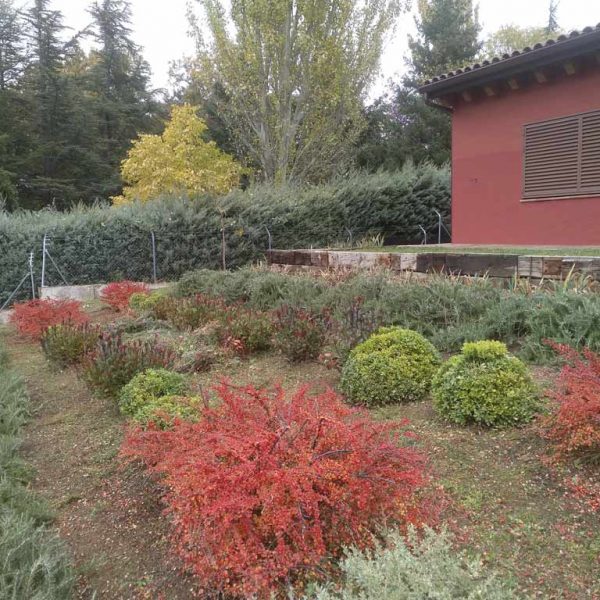 Jardines | Ajardinar | Poda | Jardineria | Diseño jardín | Desbrozar | Sistema Riego | Césped | Césped artificial | Mantenimiento jardín | Tala | Construcción jardines | Palmeras | Setos | Jardín ecológico | Jardín sostenible | Jardín vertical | Toledo | Madrid | Ciudad Real
