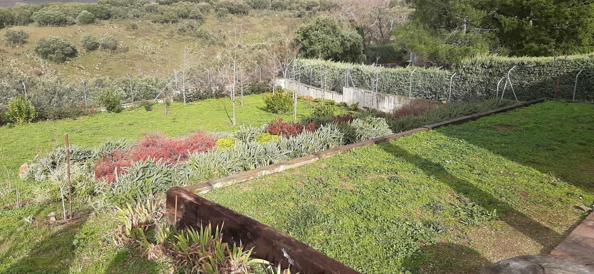 Jardineria ecologica | Jardinable | Toledo | Jardines