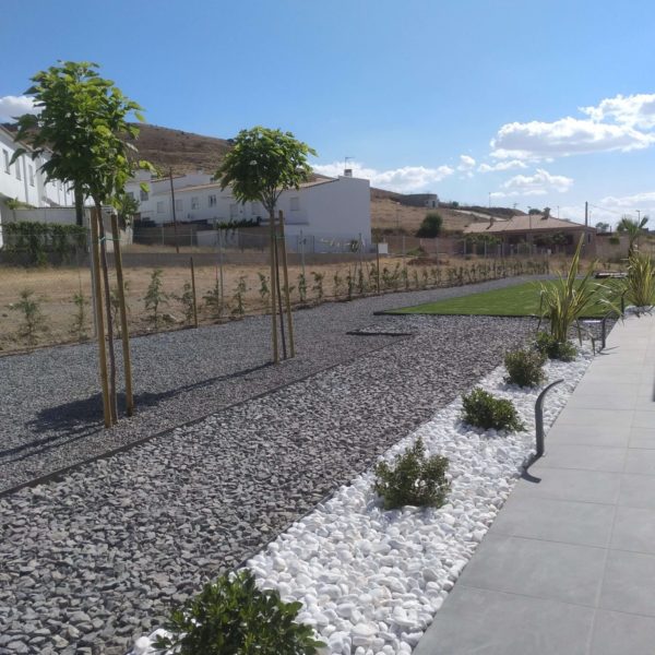 Jardines | Ajardinar | Poda | Jardineria | Diseño jardín | Desbrozar | Sistema Riego | Césped | Césped artificial | Mantenimiento jardín | Tala | Construcción jardines | Palmeras | Setos | Jardín ecológico | Jardín sostenible | Jardín vertical | Toledo | Madrid | Ciudad Real