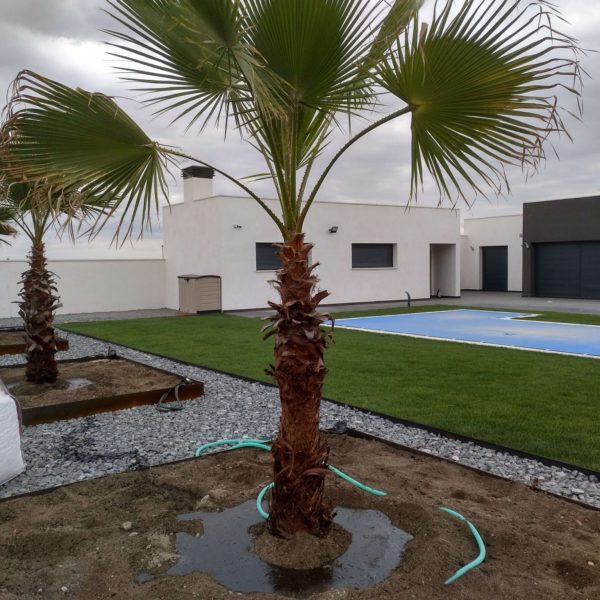 Jardines | Ajardinar | Poda | Jardineria | Diseño jardín | Desbrozar | Sistema Riego | Césped | Césped artificial | Mantenimiento jardín | Tala | Construcción jardines | Palmeras | Setos | Jardín ecológico | Jardín sostenible | Jardín vertical | Toledo | Madrid | Ciudad Real