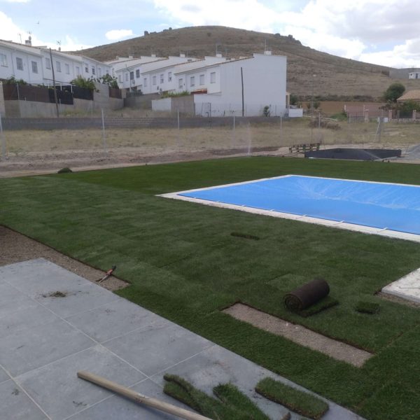 Jardines | Ajardinar | Poda | Jardineria | Diseño jardín | Desbrozar | Sistema Riego | Césped | Césped artificial | Mantenimiento jardín | Tala | Construcción jardines | Palmeras | Setos | Jardín ecológico | Jardín sostenible | Jardín vertical | Toledo | Madrid | Ciudad Real