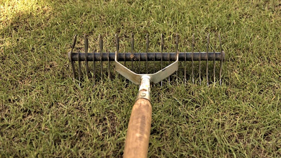 jardinable | cesped | escarificar_4