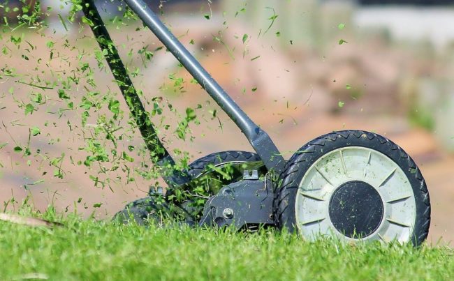 escarificar Jardinable 5 jardinable | cesped | escarificar_5