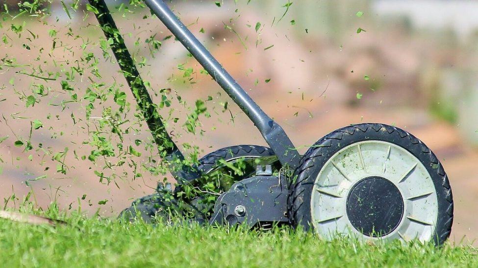 jardinable | cesped | escarificar_5