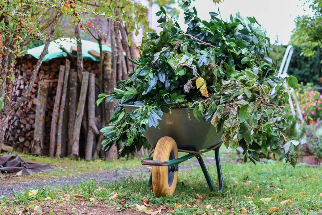 Hacer compost en tu jardín, cómo y con qué residuos - Jardinable