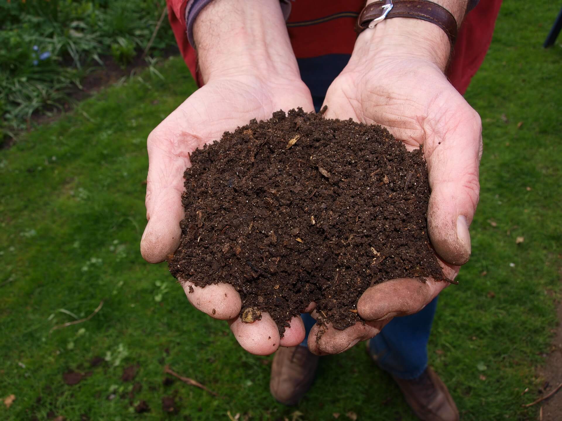 Hacer compost en tu jardín, cómo y con qué residuos - Jardinable
