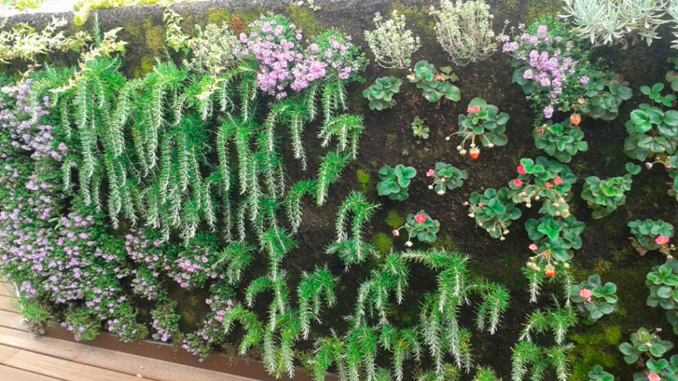 Jardin Vertical | Jardinable