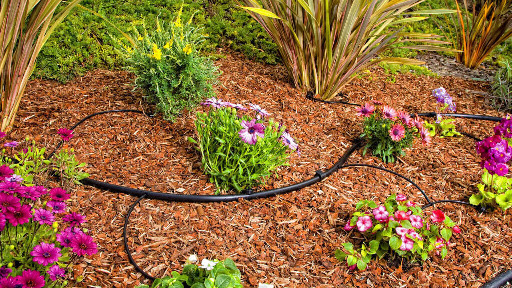 Qué sistemas de riego existen para jardín? - Blog de Riegopro