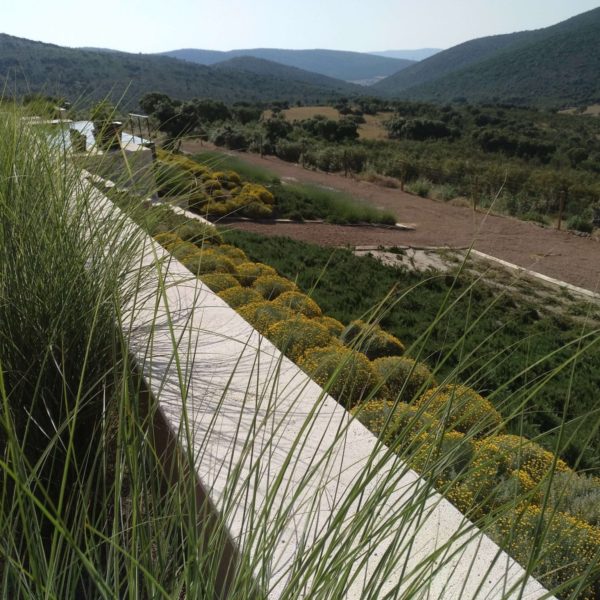 Mantenimiento jardin | jardinable | jardineria