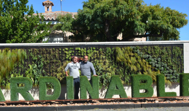 Jardines | Ajardinar | Poda | Jardineria | Diseño jardín | Desbrozar | Sistema Riego | Césped | Césped artificial | Mantenimiento jardín | Tala | Construcción jardines | Palmeras | Setos | Jardín ecológico | Jardín sostenible | Jardín vertical | Toledo | Madrid | Ciudad Real