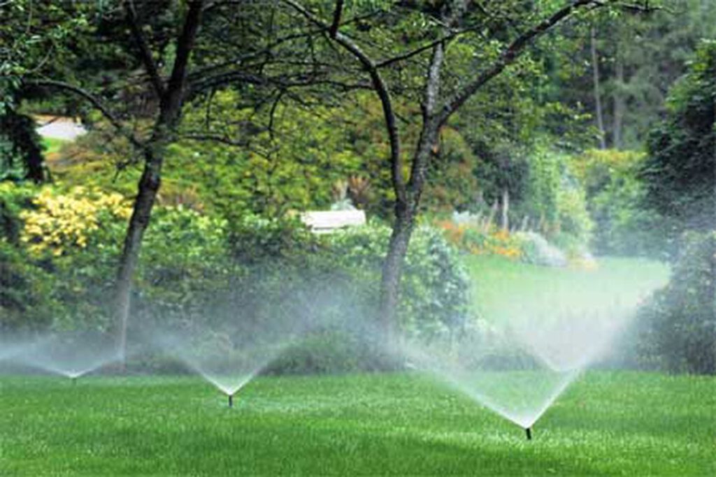 Jardines | Ajardinar | Poda | Jardineria | Diseño jardín | Desbrozar | Sistema Riego | Césped | Césped artificial | Mantenimiento jardín | Tala | Construcción jardines | Palmeras | Setos | Jardín ecológico | Jardín sostenible | Jardín vertical | Toledo | Madrid | Ciudad Real