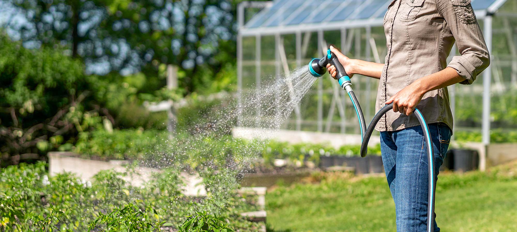 Jardines | Ajardinar | Poda | Jardineria | Diseño jardín | Desbrozar | Sistema Riego | Césped | Césped artificial | Mantenimiento jardín | Tala | Construcción jardines | Palmeras | Setos | Jardín ecológico | Jardín sostenible | Jardín vertical | Toledo | Madrid | Ciudad Real