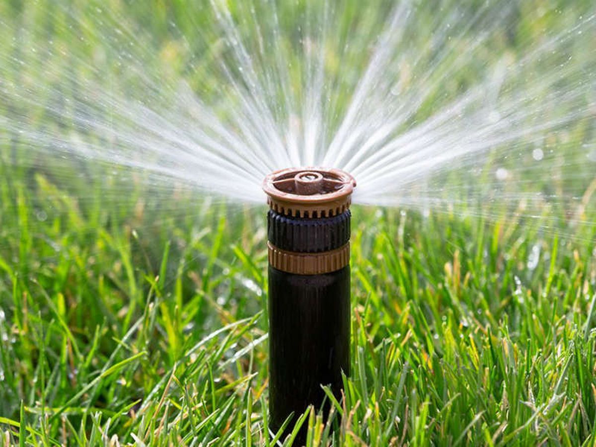 Aspersor Cesped Aspersores de Riego Jardin Pasto Regadera Regar Sprinkler  Water