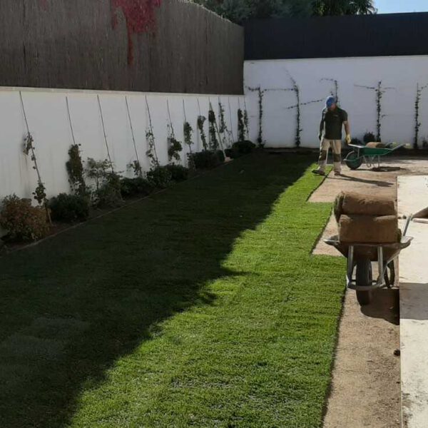 jardin-moraleja-17 Jardines | Ajardinar | Poda | Jardineria | Diseño jardín | Desbrozar | Sistema Riego | Césped | Césped artificial | Mantenimiento jardín | Tala | Construcción jardines | Palmeras | Setos | Jardín ecológico | Jardín sostenible | Jardín vertical | Toledo | Madrid | Ciudad Real