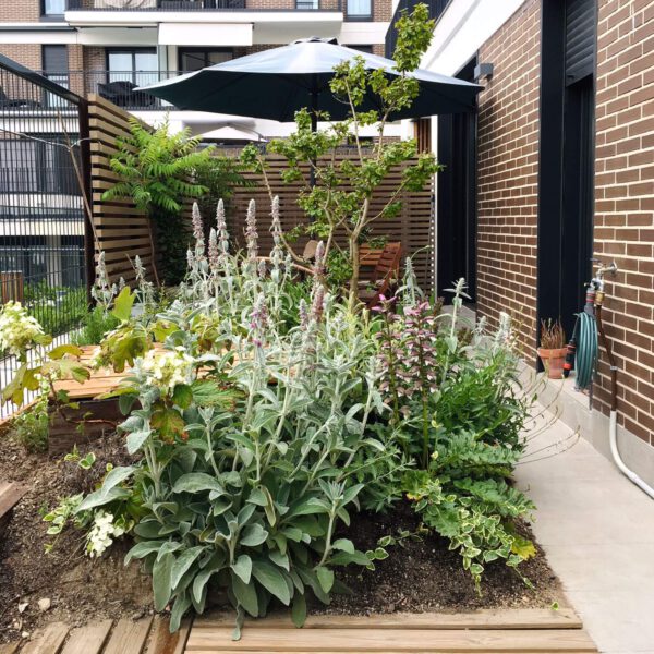 Jardinable-Jardan-Granado_6 Jardines | Ajardinar | Poda | Jardineria | Diseño jardín | Desbrozar | Sistema Riego | Césped | Césped artificial | Mantenimiento jardín | Tala | Construcción jardines | Palmeras | Setos | Jardín ecológico | Jardín sostenible | Jardín vertical | Toledo | Madrid | Ciudad Real