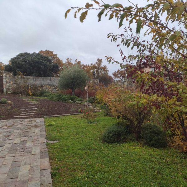 Villavieja | Madrid | Ajardinar | Poda | Jardineria | Diseño jardín | Desbrozar | Sistema Riego | Césped | Césped artificial | Mantenimiento jardín | Tala | Construcción jardines | Palmeras | Setos | Jardín ecológico | Jardín sostenible | Jardín vertical | Toledo | Ciudad Real