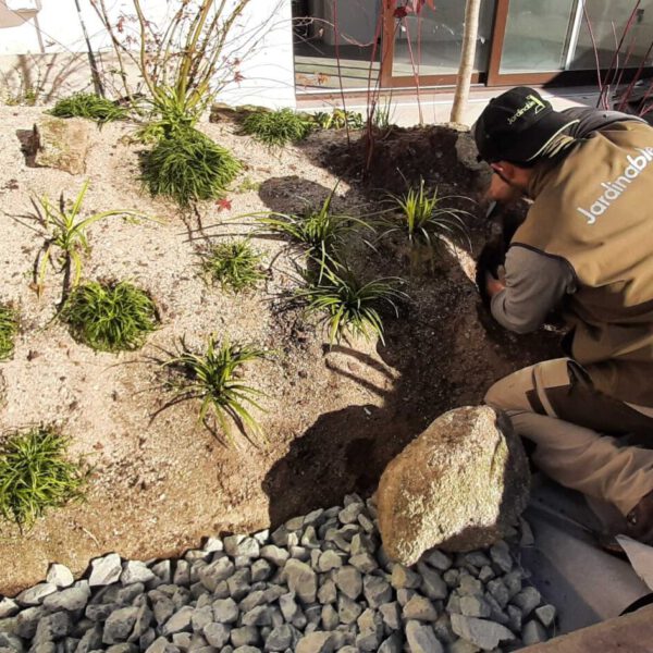 Torrijos | Toledo | Ajardinar | Poda | Jardineria | Diseño jardín | Desbrozar | Sistema Riego | Césped | Césped artificial | Mantenimiento jardín | Tala | Construcción jardines | Palmeras | Setos | Jardín ecológico | Jardín sostenible | Jardín vertical | Madrid | Ciudad Real