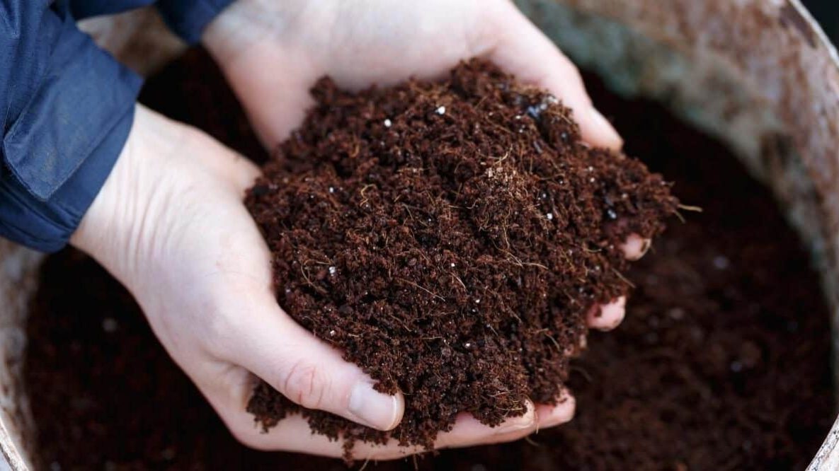 Diseño jardines 3D - Toledo - Ajardinar - Poda - Jardineria - Diseño jardín - Desbrozar - Sistema Riego - Césped - Césped artificial - Mantenimiento jardín - Construcción jardines - Palmeras - Setos - Jardín ecológico - Jardín sostenible - Jardín vertical - Madrid - Ciudad Real