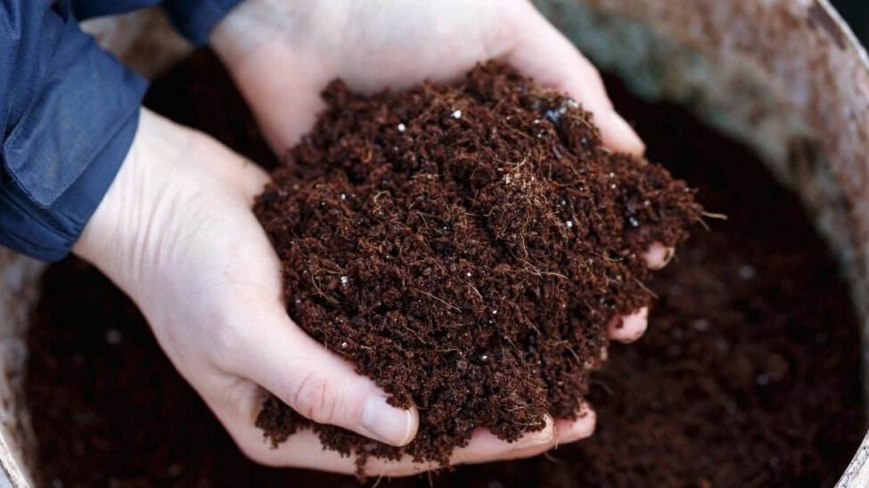 Diseño jardines 3D - Toledo - Ajardinar - Poda - Jardineria - Diseño jardín - Desbrozar - Sistema Riego - Césped - Césped artificial - Mantenimiento jardín - Construcción jardines - Palmeras - Setos - Jardín ecológico - Jardín sostenible - Jardín vertical - Madrid - Ciudad Real