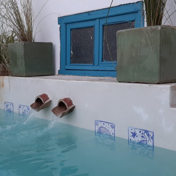 Diseño jardines 3D - Toledo - Ajardinar - Poda - Jardineria - Diseño jardín - Desbrozar - Sistema Riego - Césped - Césped artificial - Mantenimiento jardín - Construcción jardines - Palmeras - Setos - Jardín ecológico - Jardín sostenible - Jardín vertical - Madrid - Ciudad Real