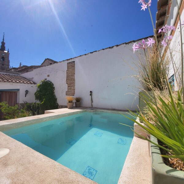 Diseño jardines 3D - Toledo - Ajardinar - Poda - Jardineria - Diseño jardín - Desbrozar - Sistema Riego - Césped - Césped artificial - Mantenimiento jardín - Construcción jardines - Palmeras - Setos - Jardín ecológico - Jardín sostenible - Jardín vertical - Madrid - Ciudad Real