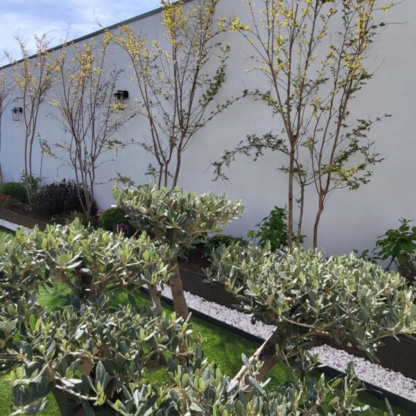 Diseño jardines 3D - Toledo - Ajardinar - Poda - Jardineria - Diseño jardín - Desbrozar - Sistema Riego - Césped - Césped artificial - Mantenimiento jardín - Construcción jardines - Palmeras - Setos - Jardín ecológico - Jardín sostenible - Jardín vertical - Madrid - Ciudad Real